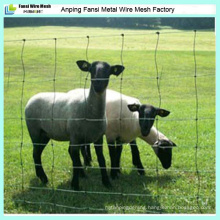 2.5mm High Quality Hot Dipped Galvanized Sheep/Grassland/Field Fence